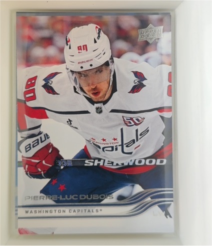 2025-26 Upper Deck #189 Pierre-Luc Dubois — front