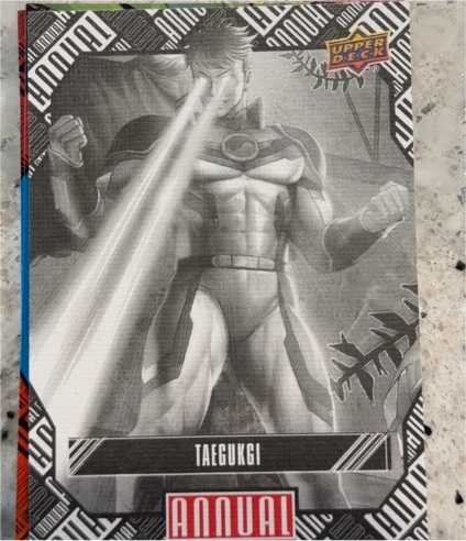 2023-24 Upper Deck Marvel Annual #81 Taegukgi — front