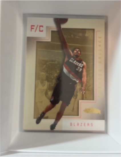 2001-02 Fleer Showcase #40 Rasheed Wallace — front