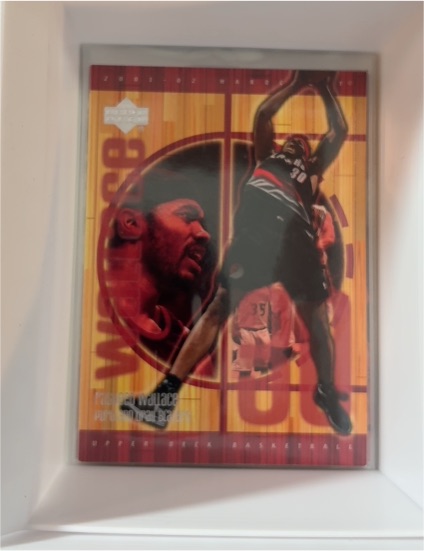 2001-02 Upper Deck Hardcourt #67 Rasheed Wallace — front