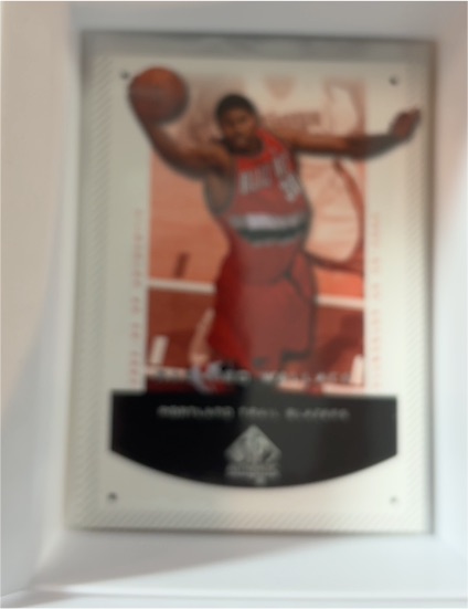 2002-03 SP Authentic #73 Rasheed Wallace — front