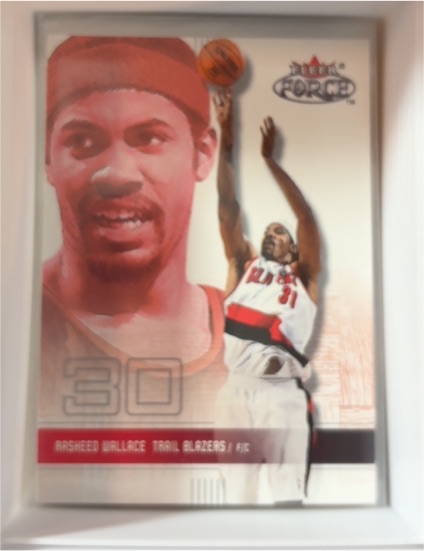 2001-02 Fleer Force #24 Rasheed Wallace — front
