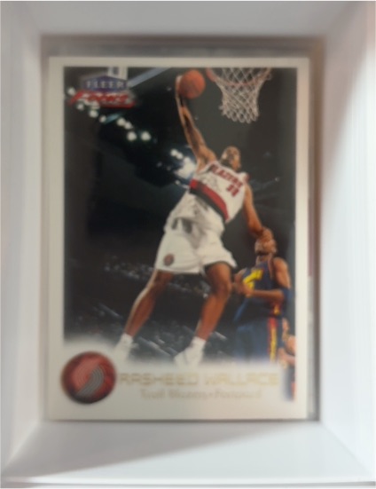 1999 Fleer Focus #23 Rasheed Wallace — front