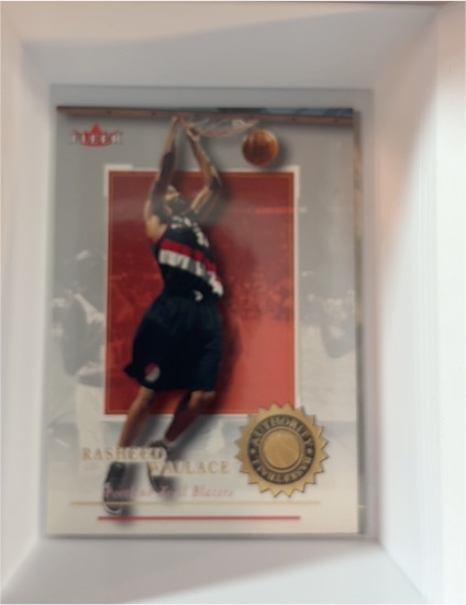 2000-01 Fleer #64 Rasheed Wallace — front