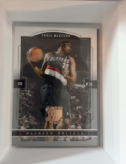 2003-04 Skybox Limited Edition #56 Rasheed Wallace — front