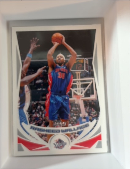 2004-05 Topps #33 Rasheed Wallace — front