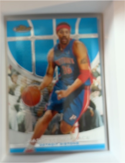 2004-05 Topps Chrome #33 Rasheed Wallace — front