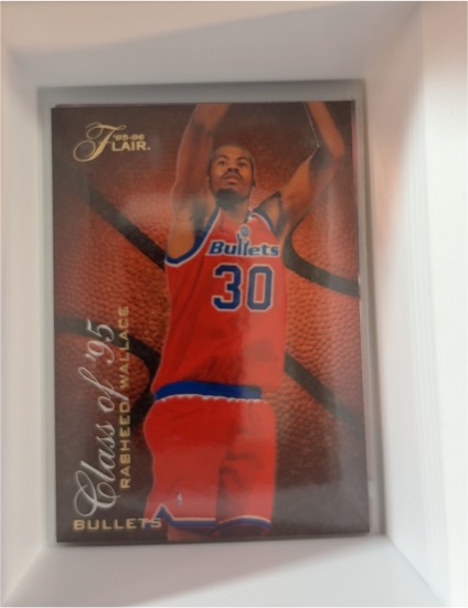 1995-96 Flair Class of '95 #R-13 Rasheed Wallace — front