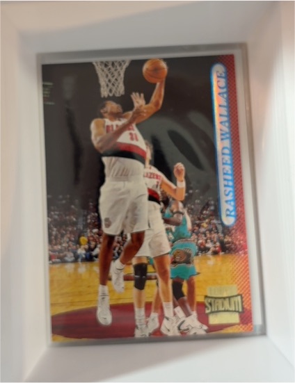 1996-97 Topps Stadium Club #154 Rasheed Wallace — front