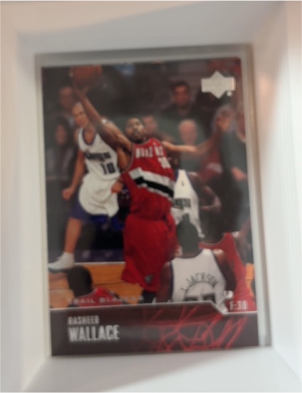 2003-04 Upper Deck #233 Rasheed Wallace — front