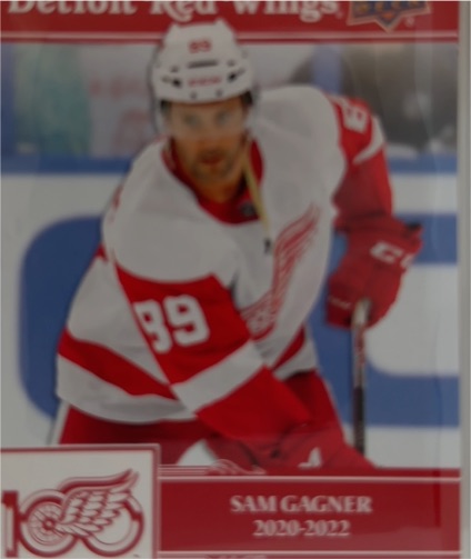 2020-22 Upper Deck Series 2 #315 Sam Gagner — front