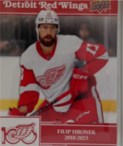 2018 Upper Deck Detroit Red Wings Filip Hronek Centennial #100 — front