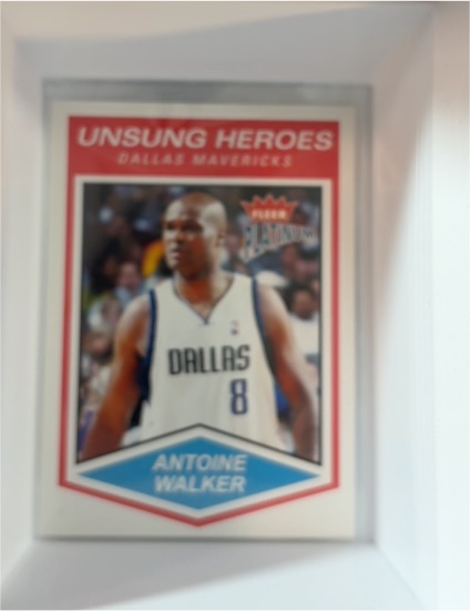 2003-04 Fleer Platinum #146 Antoine Walker Unsung Heroes Dallas Mavericks — front