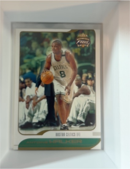 2001-02 Fleer Focus #87 Antoine Walker — front