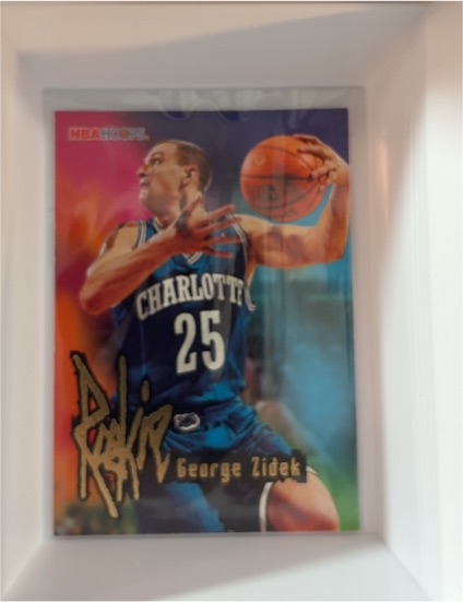 1995-96 NBA Hoops #254 George Zidek — front