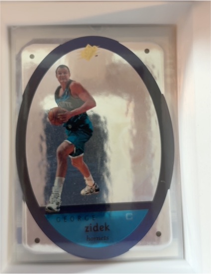 1996-97 Upper Deck SPx #6 George Zidek — front