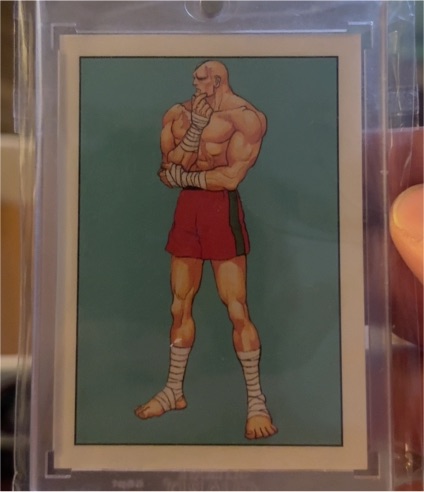 1993 Topps Street Fighter II #65 Sagat — front