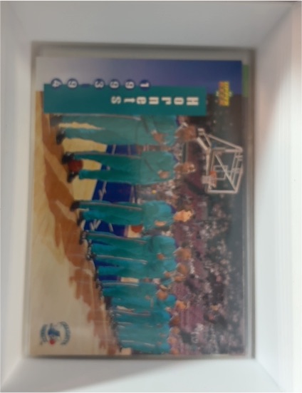 1993-94 Upper Deck #212 Charlotte Hornets — front
