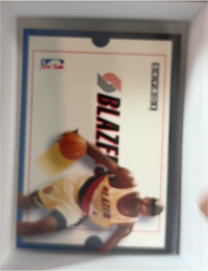1992-93 SkyBox #303 Cliff Robinson Portland Trail Blazers — front