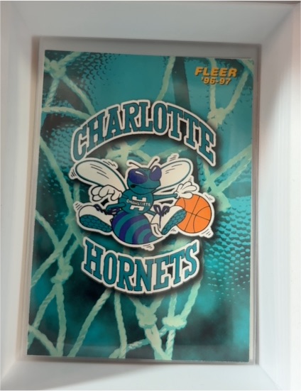 1996-97 Fleer #153 Charlotte Hornets Team Logo — front