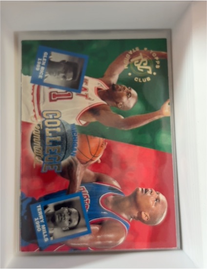 1994-95 Topps Stadium Club #111 Glen Rice, Terry Mills — front