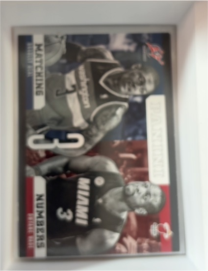 2012-13 Panini Matching Numbers #16 Dwyane Wade / Bradley Beal — front