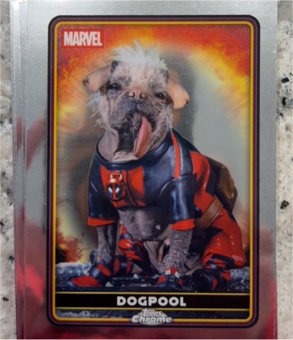 2025 Topps Chrome #28 Dogpool — front