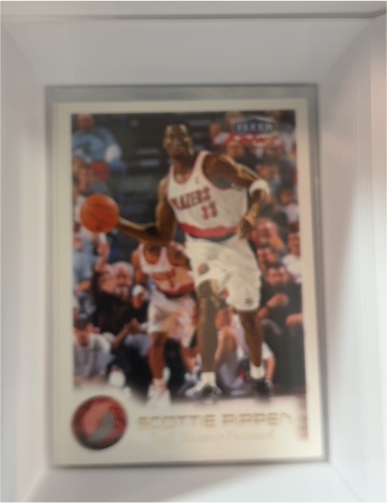 1999-00 Fleer Focus #25 Scottie Pippen — front