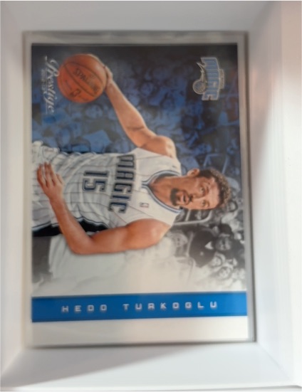2012-13 Panini Prestige #131 Hedo Turkoglu — front