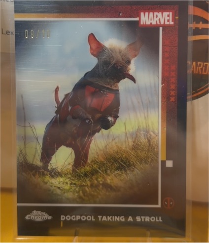 2025 Topps Chrome Deadpool & Wolverine #73 Dogpool Taking a Stroll — front