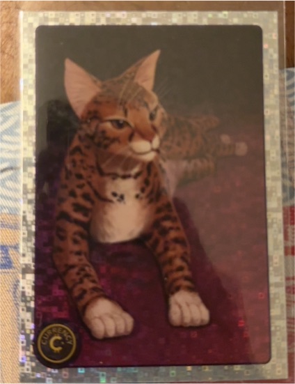 2025 Cardsmiths Currency Series 5 #26 Ashera Cat — front