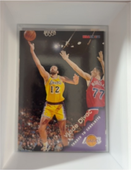 1996-97 NBA Hoops #78 Vlade Divac — front