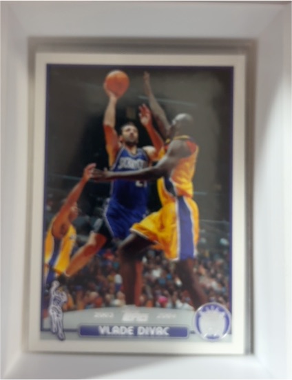 2003-04 Topps #172 Vlade Divac — front