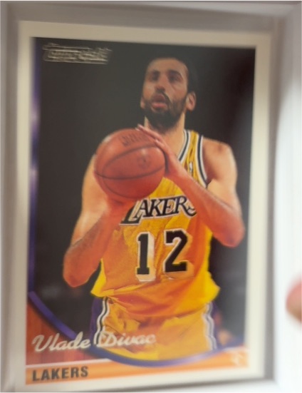 1993-94 Topps #14 Vlade Divac — front