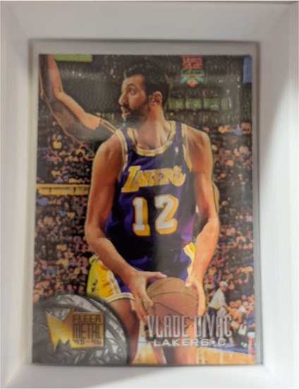 1995-96 Fleer Metal #53 Vlade Divac — front