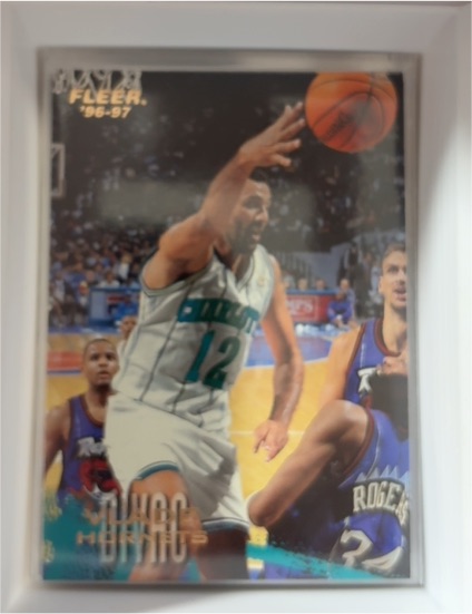 1996-97 Fleer #160 Vlade Divac — front
