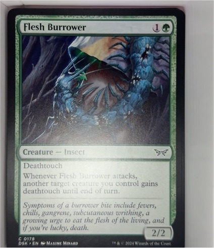 2024 Duskmourn: House of Horror #178 Flesh Burrower — front