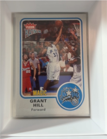 2002-03 Fleer Platinum #29 Grant Hill — front