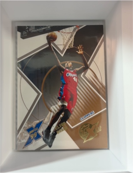 2002-03 Topps Xpectations #28 Elton Brand — front