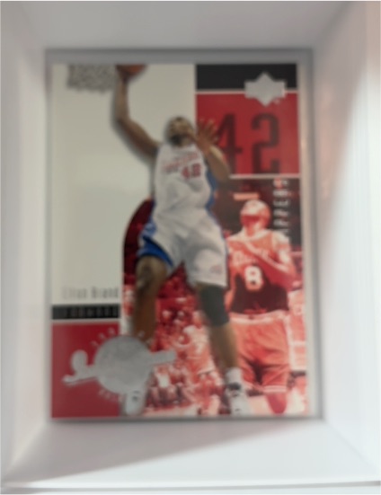 2001 Upper Deck Ovation #42 Elton Brand — front