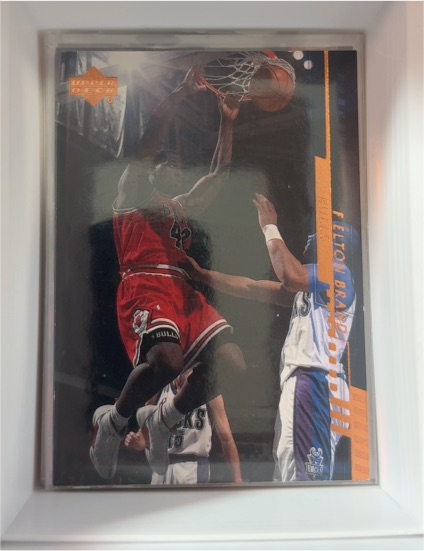 2000-01 Upper Deck #20 Elton Brand Chicago Bulls — front