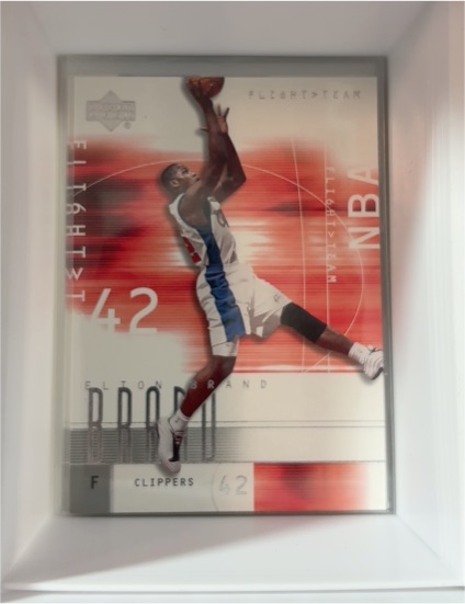2001-02 Upper Deck Flight Team #84 Elton Brand — front