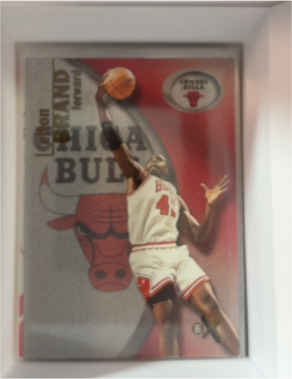 2000-01 Skybox E-X #10 Elton Brand Chicago Bulls — front