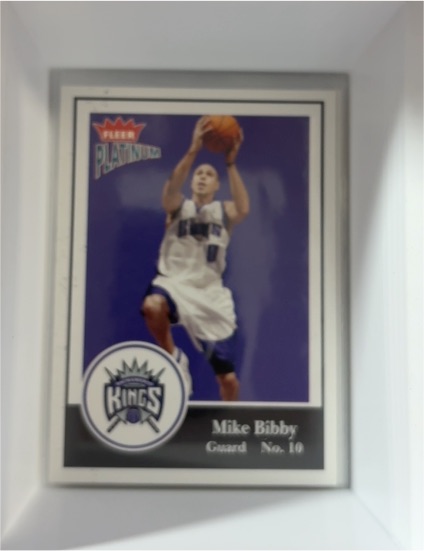 2003-04 Fleer Platinum #61 Mike Bibby — front