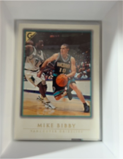 1999-00 Topps Gallery #73 Mike Bibby — front