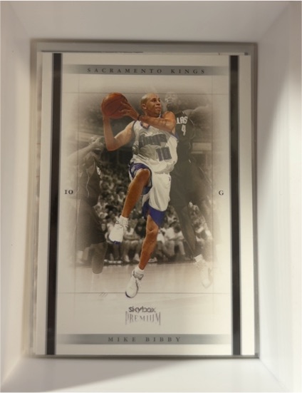 2004-05 Skybox Premium #60 Mike Bibby — front