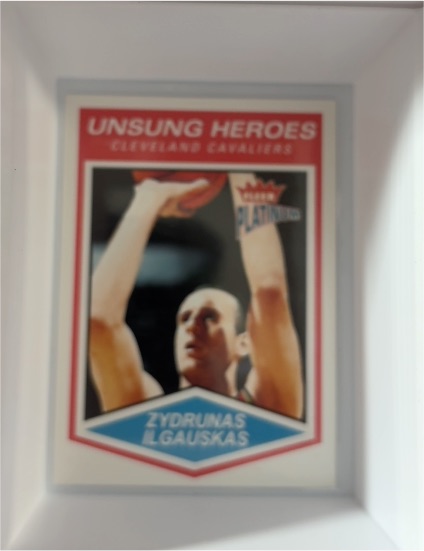 2003-04 Fleer Platinum #145 Zydrunas Ilgauskas — front