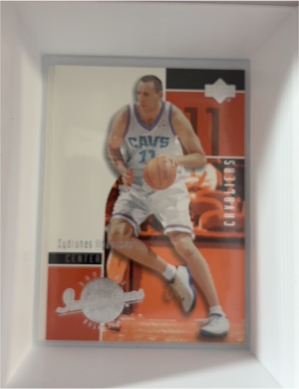 2002-03 Upper Deck Inspirations #11 Zydrunas Ilgauskas — front