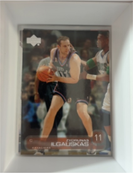 2002 Upper Deck #19 Zydrunas Ilgauskas — front