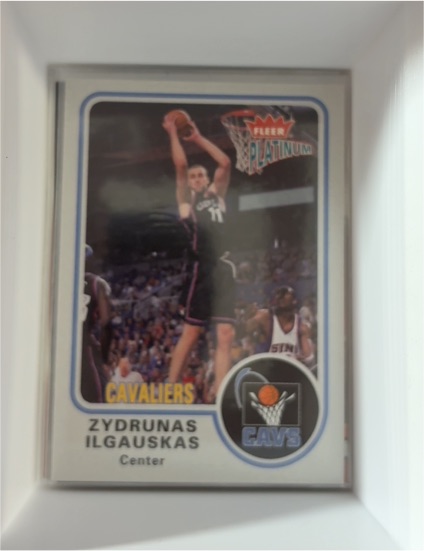 2002-03 Fleer Platinum #128 Zydrunas Ilgauskas — front